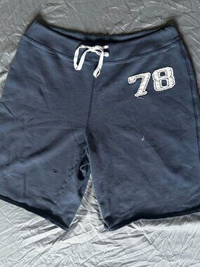 Life is Good Men's Navy and Blue Shorts